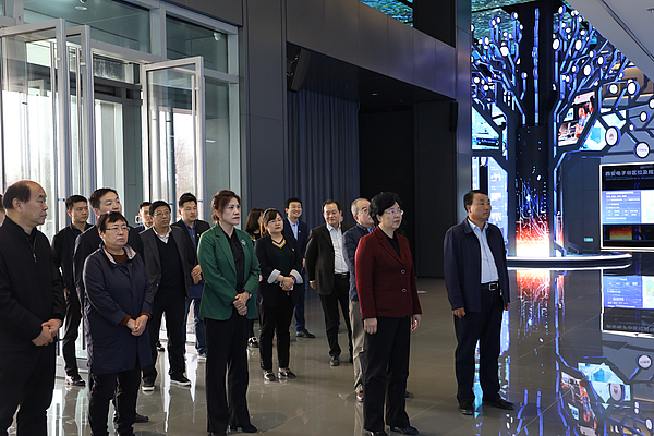 市人大常委会副主任王凤萍一行莅临西安电子谷核心区项目 视察优化高新区营商环境