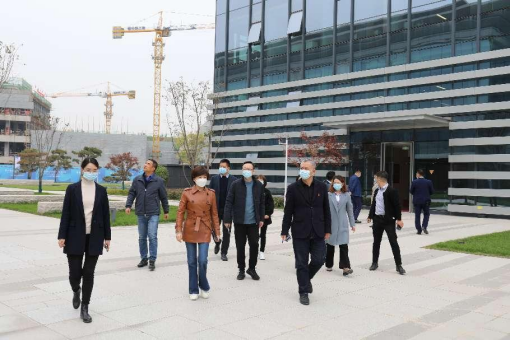 抓招商 促进度 保安全：解严董事长带队开展集团重点项目调研